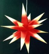 Warengruppe Weihnachtssterne